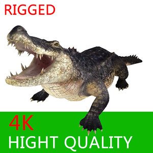 3d model crocodile alligator animation