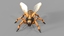 c4d robot wasp