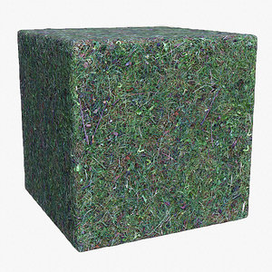Grass (80) - Photogrammetry based Texture