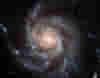member avatar