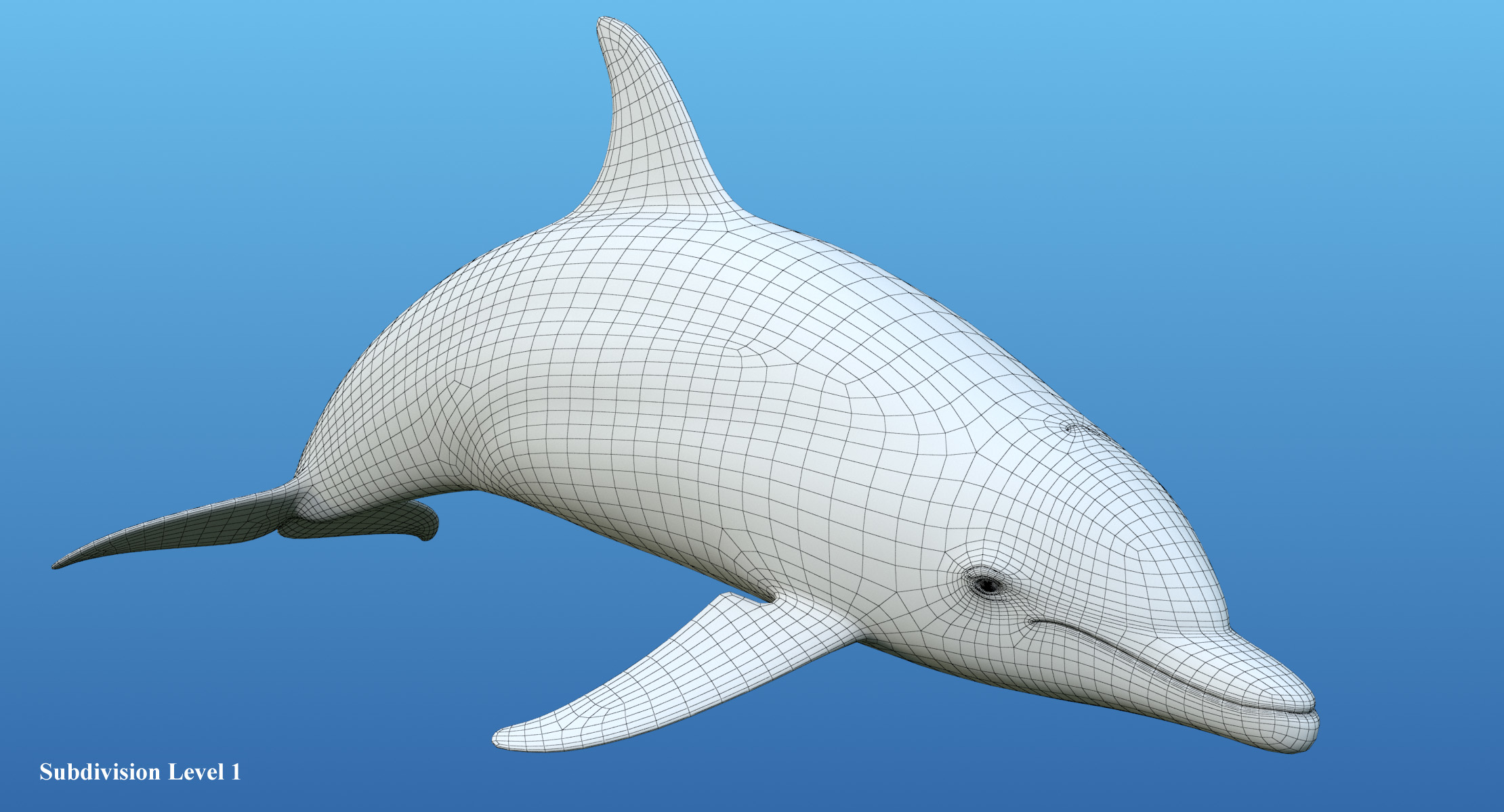 dolphin rigged3d模型