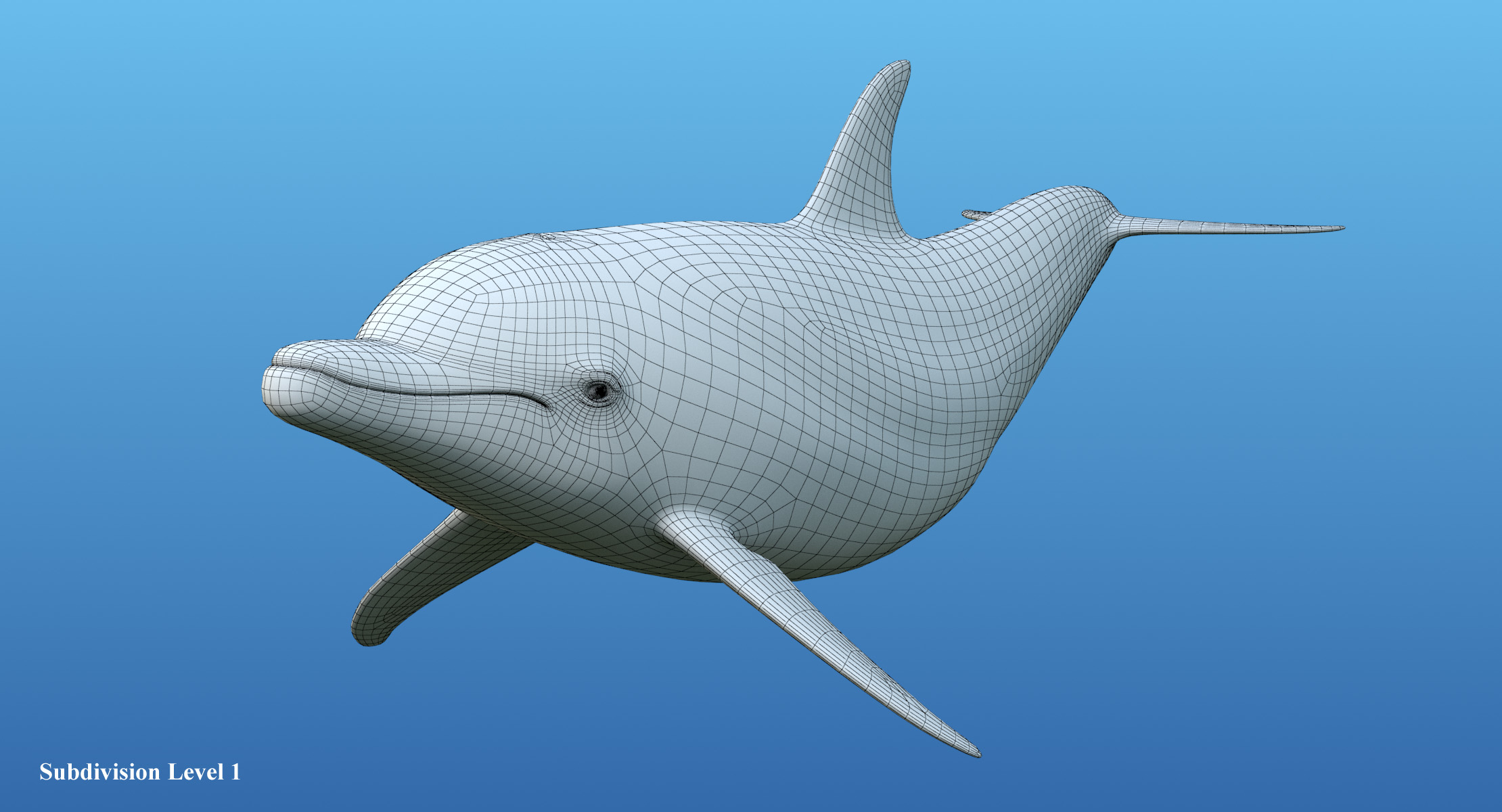 dolphin rigged3d模型