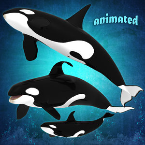 3d model killer whales