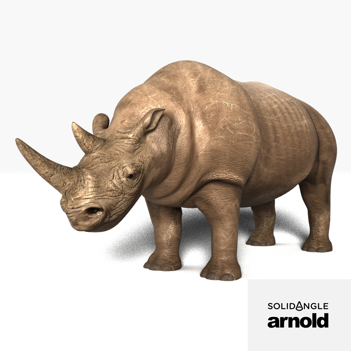 3d 3ds rhino rigged polys animation