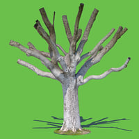 3d photo scanned model