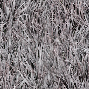 Red Grass texture (Seamless)