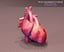 3d heart cycle animation