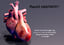 3d heart cycle animation
