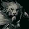 member avatar