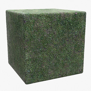 Grass (85) - Photogrammetry based Texture
