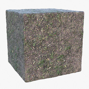 Sparse Grass (86) - Photogrammetry based Texture