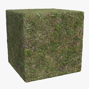 Grass (87) - Photogrammetry based Texture