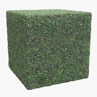 Grass (81) - Photogrammetry based PBR texture