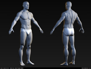 Male-Body-Mesh pic
