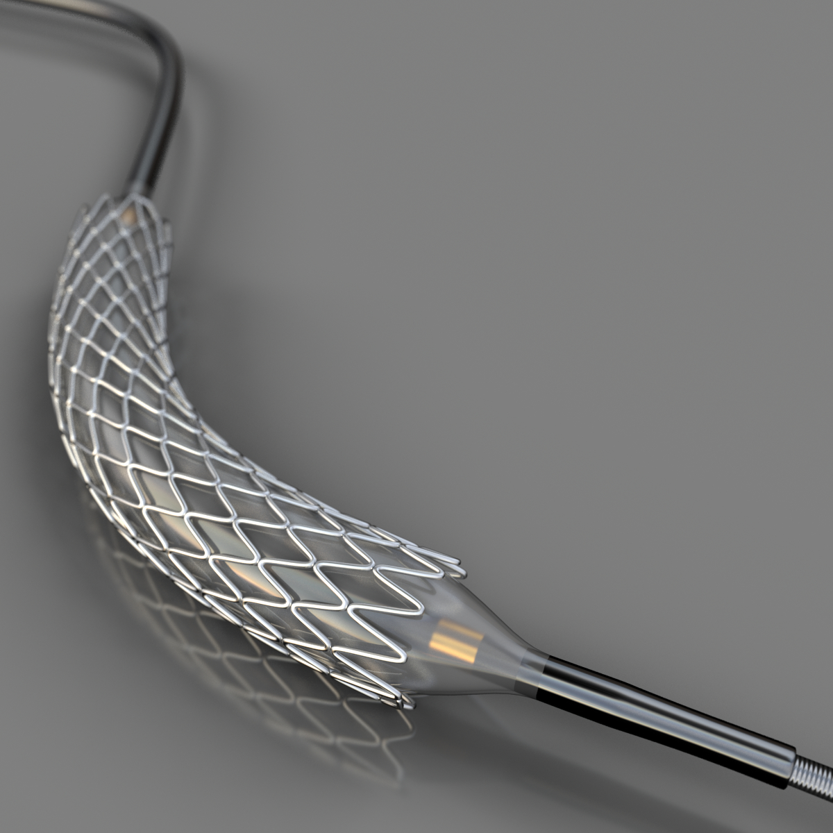 coronary artery stent 3d max