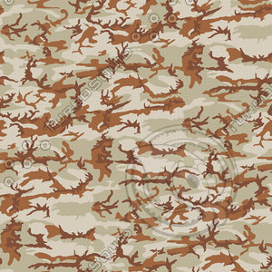 Desert Camo - ERDL Pattern