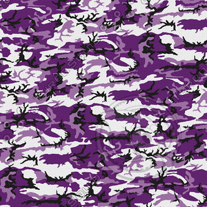 Purple Camo - Popular Woodland Pattern