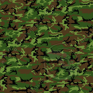 Woodland Leaf - Famous ERDL Pattern