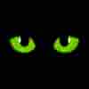 member avatar
