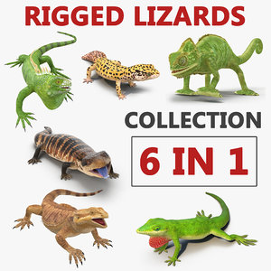 rigged lizards 2 3D model