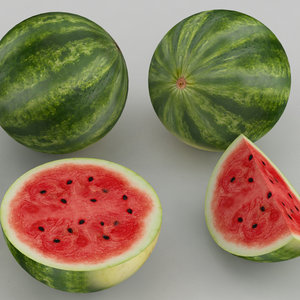 3d watermelon melon