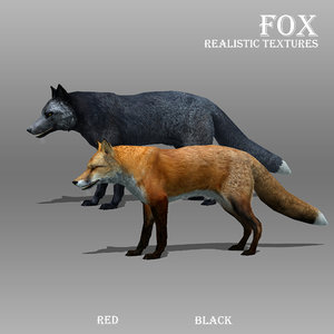 3d red fox animations
