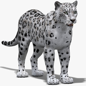 snow leopard max