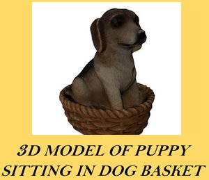 3d model puppy dog sitting basket