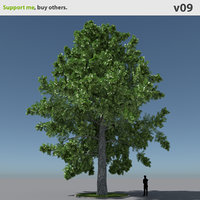 free max model tree oak v9