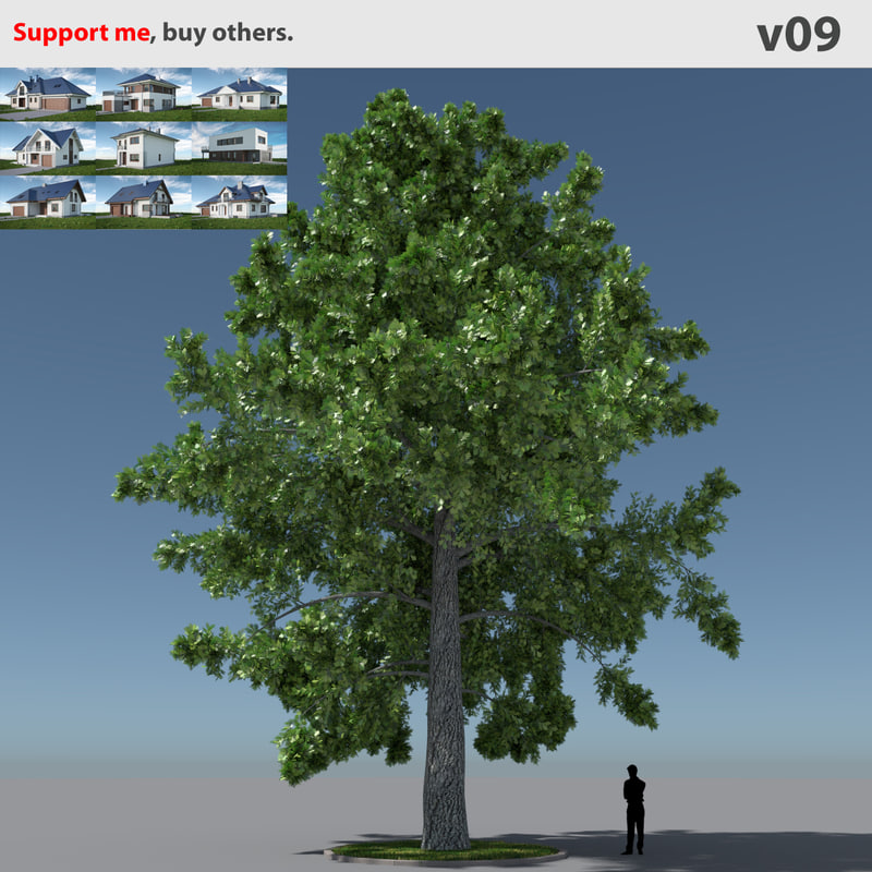  free  max model tree  oak v9
