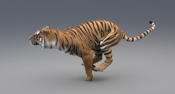 realistic rigged tiger fur 3d max