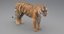 realistic rigged tiger fur 3d max