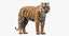 realistic rigged tiger fur 3d max