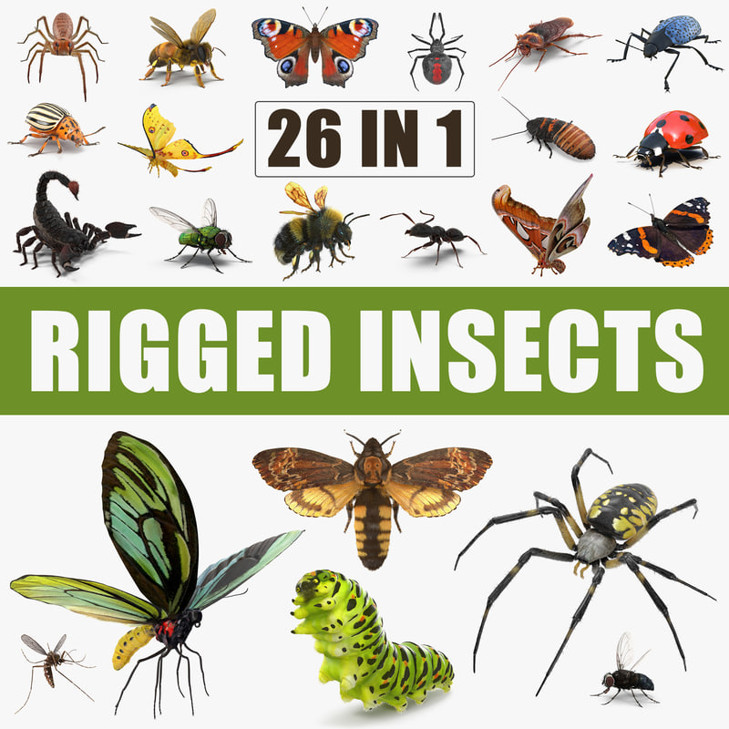 3D model insects big rigged - TurboSquid 1230175