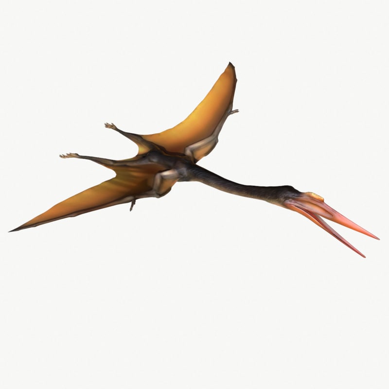 quetzalcoatlus 3d model