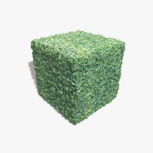 Plastic Hedge Seamless