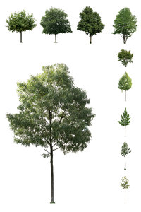 European Cutout Tree Package 01