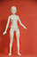 3d model ball jointed doll bjd