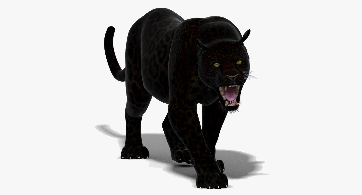 3d black panther animation