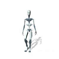 Walking long T2
