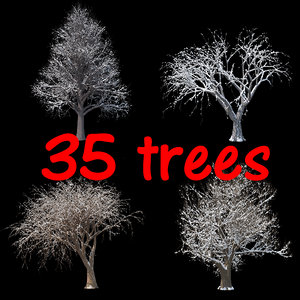 3D winter tree