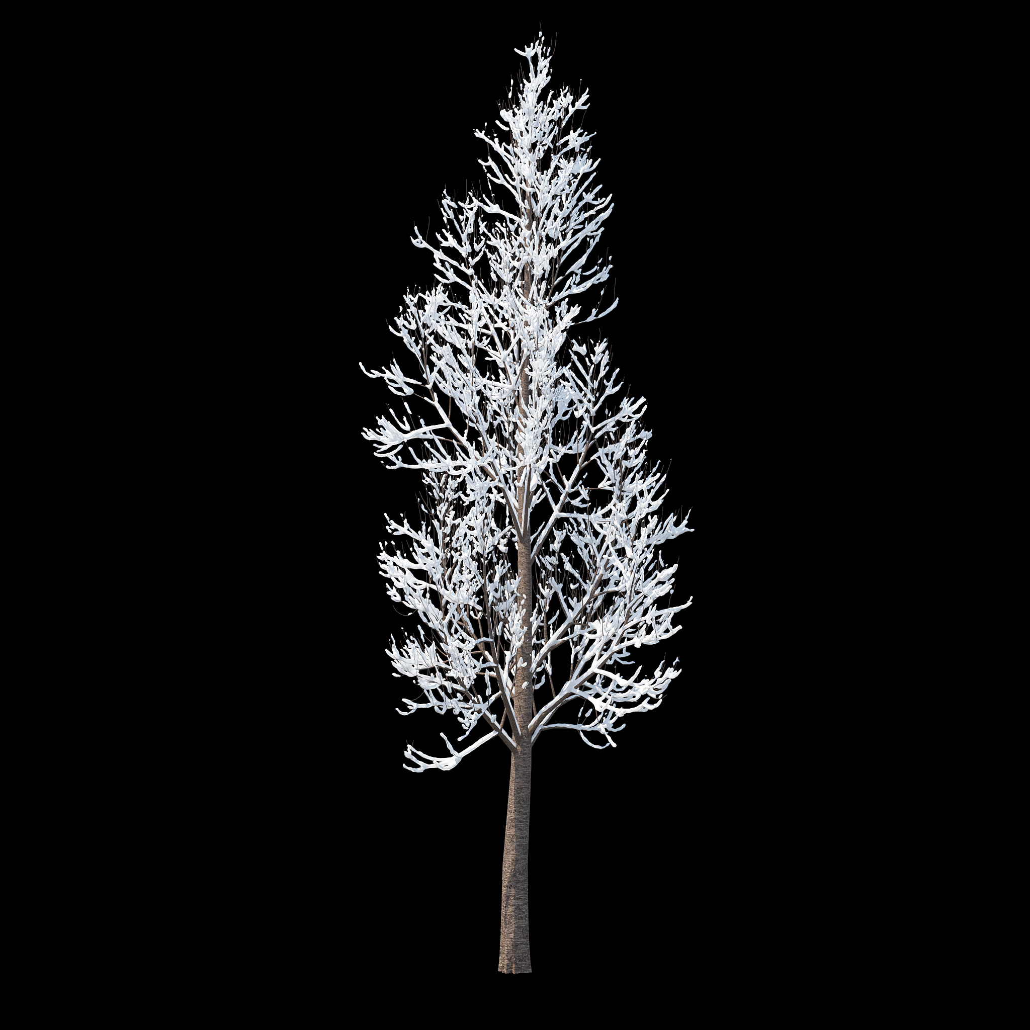 冬天树集合3d模型