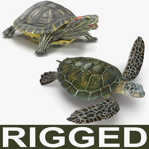 max rigged turtles modeled animate