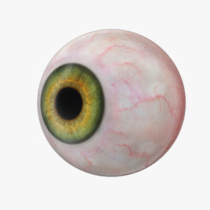 realistic human green eye 3D model