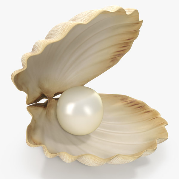 Sea shell pearl 3D model - TurboSquid 1242132