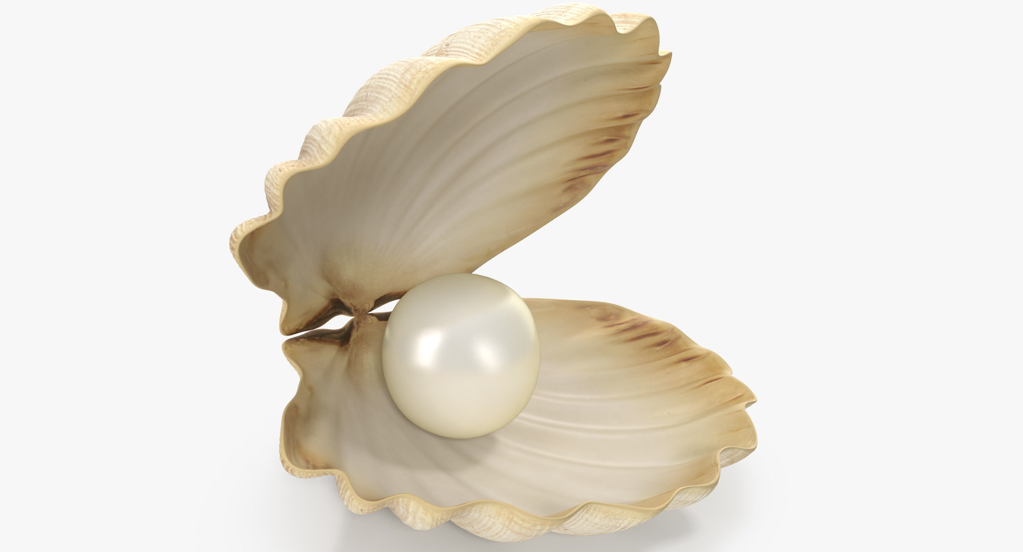 clam shell pearl