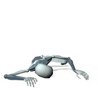 Fighter falling death