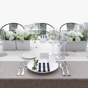 3d model banquet table
