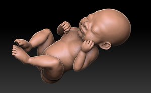 3D newborn printing animation