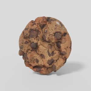 cookie pbr 3D model